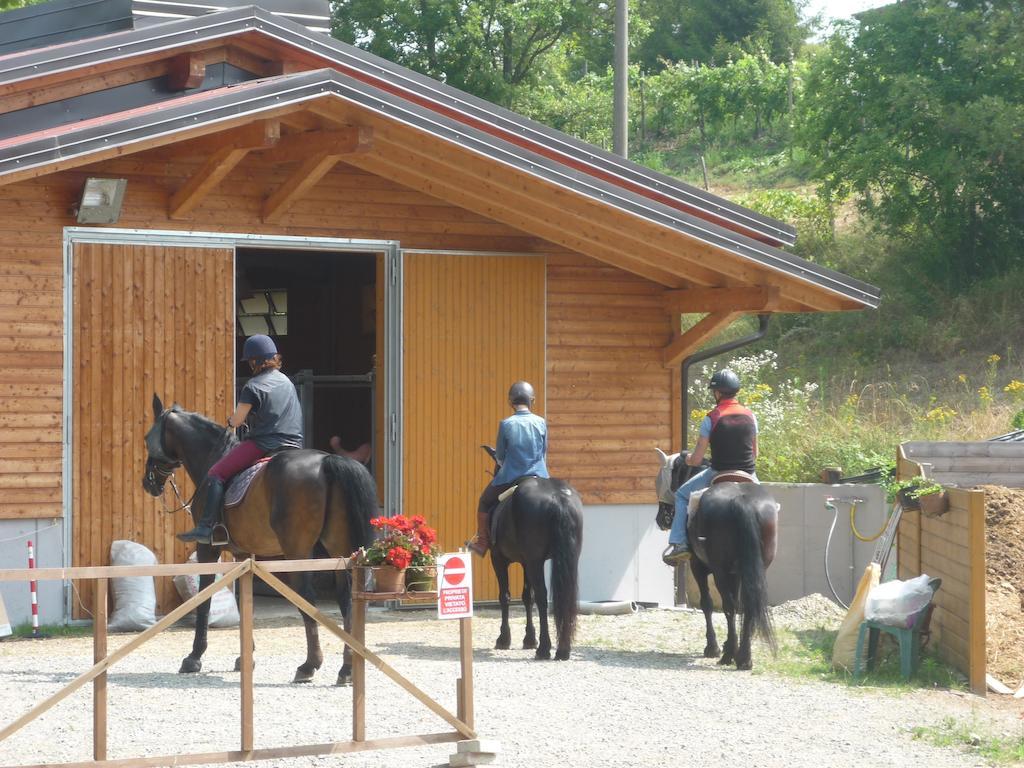 Micro-Cottage In Pietra La Ratatouille Dego Zewnętrze zdjęcie