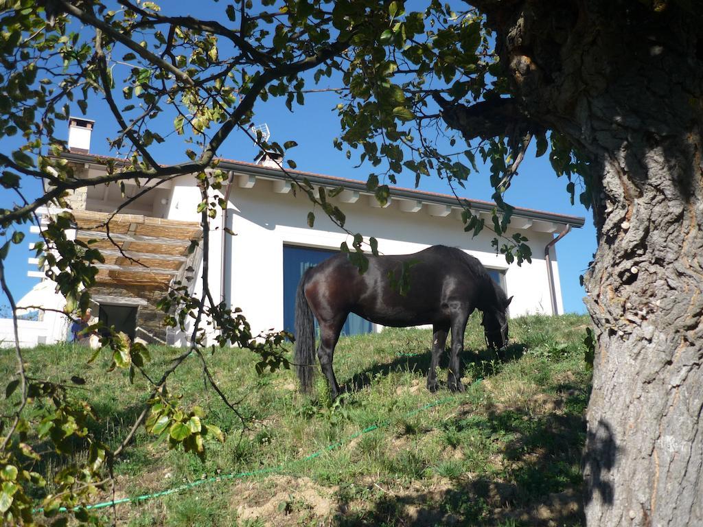 Micro-Cottage In Pietra La Ratatouille Dego Zewnętrze zdjęcie