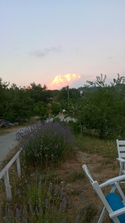 Micro-Cottage In Pietra La Ratatouille Dego Zewnętrze zdjęcie